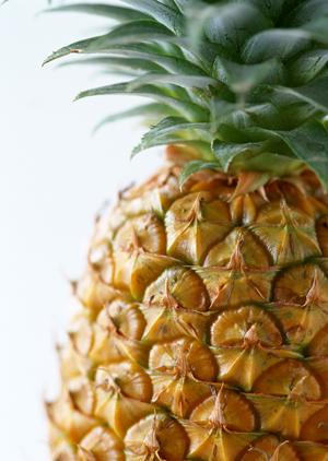 東京・大阪でポイント制のホストクラブ