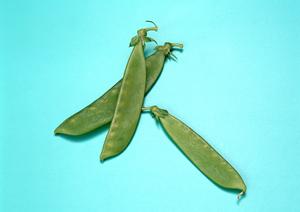 日頃のストレスを忘れたい大人の女性へ